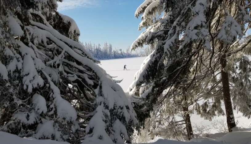 Hotel CROCUS **** Vysoké Tatry